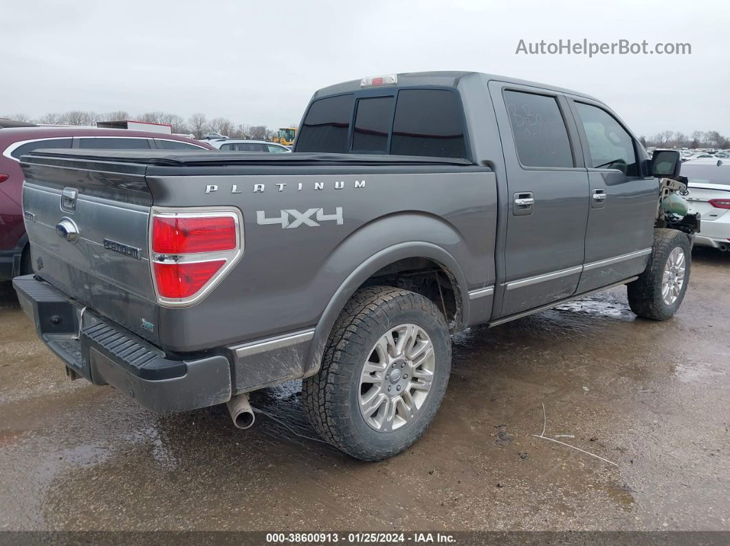 2010 Ford F-150 Fx4/lariat/xl/xlt Gray vin: 1FTFW1EV5AFA95205