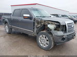 2010 Ford F-150 Fx4/lariat/xl/xlt Gray vin: 1FTFW1EV5AFA95205