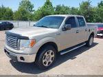 2010 Ford F-150 Fx4/harley-davidson/king Ranch/lariat/platinum/xl/xlt Gold vin: 1FTFW1EV5AFC20915