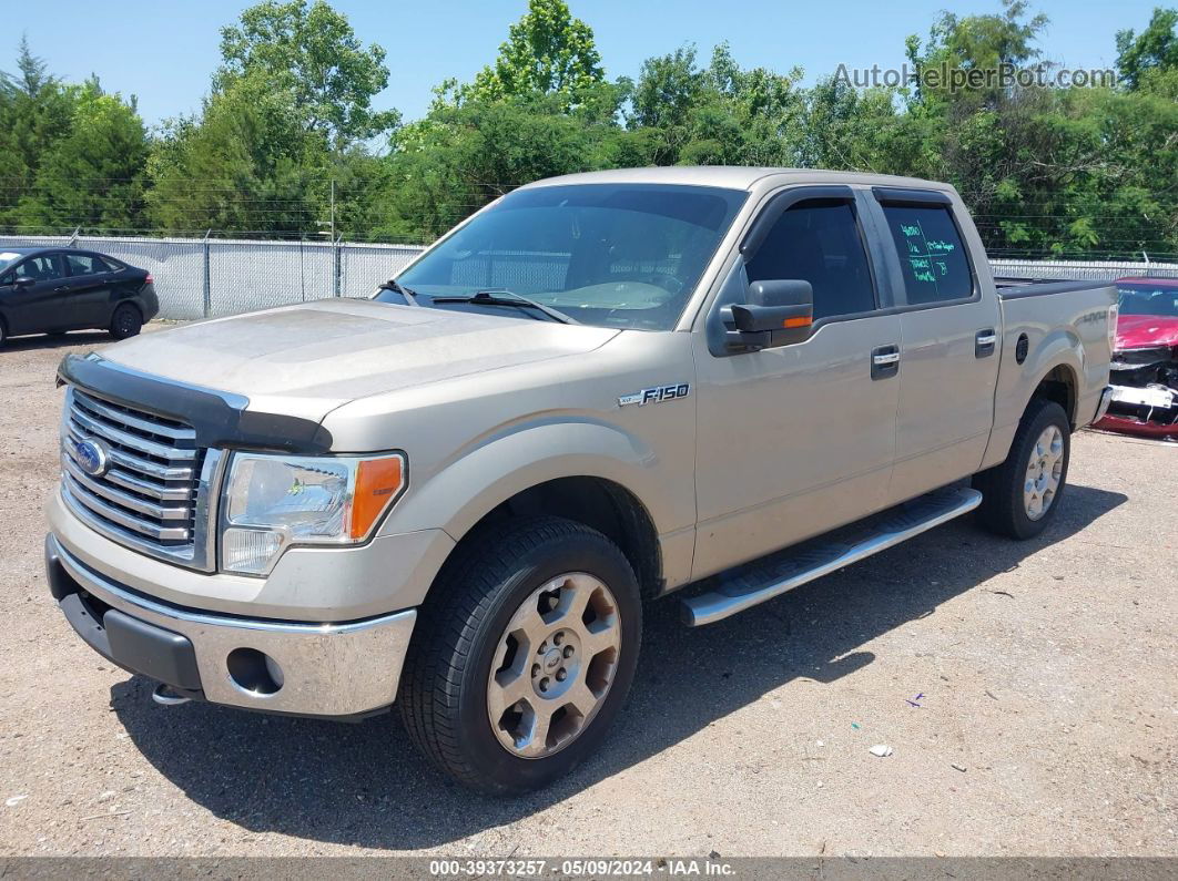 2010 Ford F-150 Fx4/harley-davidson/king Ranch/lariat/platinum/xl/xlt Gold vin: 1FTFW1EV5AFC20915