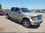 2010 Ford F-150 Fx4/harley-davidson/king Ranch/lariat/platinum/xl/xlt Gold vin: 1FTFW1EV5AFC20915