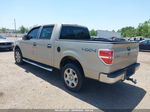 2010 Ford F-150 Fx4/harley-davidson/king Ranch/lariat/platinum/xl/xlt Gold vin: 1FTFW1EV5AFC20915