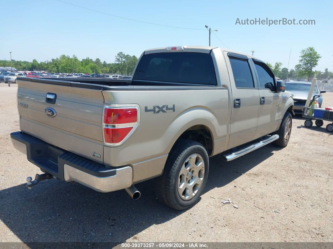 2010 Ford F-150 Fx4/harley-davidson/king Ranch/lariat/platinum/xl/xlt Gold vin: 1FTFW1EV5AFC20915