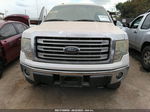 2010 Ford F-150 Xl/xlt/fx4/lariat White vin: 1FTFW1EV5AFD54551