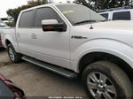 2010 Ford F-150 Xl/xlt/fx4/lariat White vin: 1FTFW1EV5AFD54551