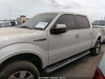 2010 Ford F-150 Xl/xlt/fx4/lariat White vin: 1FTFW1EV5AFD54551