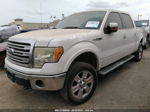 2010 Ford F-150 Xl/xlt/fx4/lariat White vin: 1FTFW1EV5AFD54551