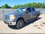 2010 Ford F-150 Fx4/harley-davidson/king Ranch/lariat/platinum/xl/xlt Gray vin: 1FTFW1EV5AFD73150