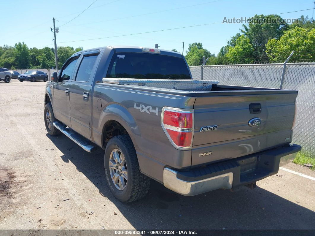 2010 Ford F-150 Fx4/harley-davidson/king Ranch/lariat/platinum/xl/xlt Gray vin: 1FTFW1EV5AFD73150