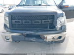 2010 Ford F-150 Fx4/harley-davidson/king Ranch/lariat/platinum/xl/xlt Black vin: 1FTFW1EV5AKC20355