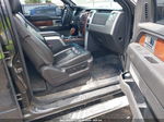 2010 Ford F-150 Fx4/harley-davidson/king Ranch/lariat/platinum/xl/xlt Black vin: 1FTFW1EV6AFA19962