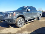 2010 Ford F-150 Fx4/harley-davidson/king Ranch/lariat/platinum/xl/xlt Черный vin: 1FTFW1EV6AFA52640