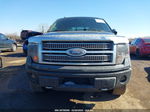 2010 Ford F-150 Fx4/harley-davidson/king Ranch/lariat/platinum/xl/xlt Черный vin: 1FTFW1EV6AFA52640