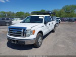 2010 Ford F-150 Fx4/harley-davidson/king Ranch/lariat/platinum/xl/xlt Белый vin: 1FTFW1EV6AFA85394