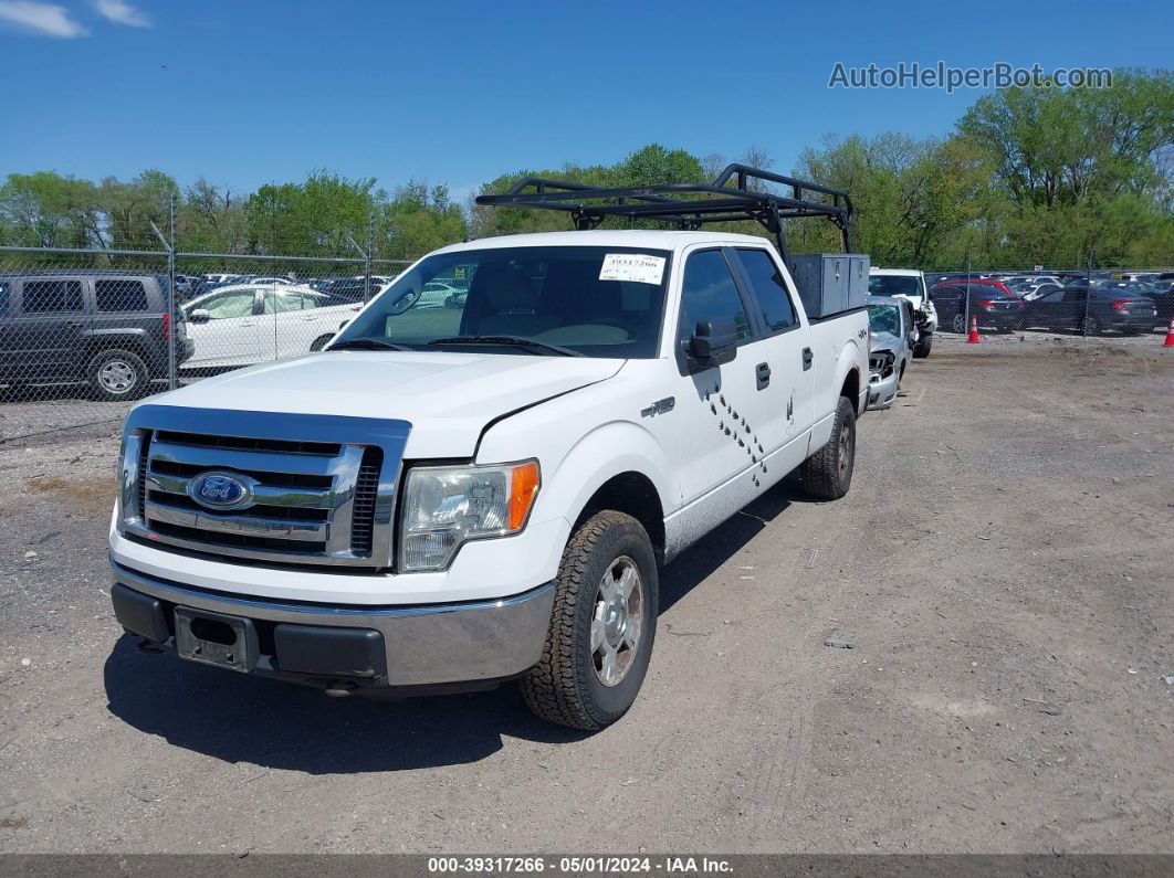 2010 Ford F-150 Fx4/harley-davidson/king Ranch/lariat/platinum/xl/xlt White vin: 1FTFW1EV6AFA85394