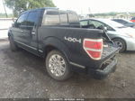 2010 Ford F-150 Xl/xlt/fx4/lariat Черный vin: 1FTFW1EV6AFC77916