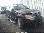 2010 Ford F-150 Xl/xlt/fx4/lariat Черный vin: 1FTFW1EV6AFC77916