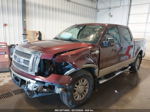 2010 Ford F-150 Fx4/harley-davidson/king Ranch/lariat/platinum/xl/xlt Burgundy vin: 1FTFW1EV6AKB46427