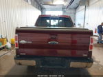 2010 Ford F-150 Fx4/harley-davidson/king Ranch/lariat/platinum/xl/xlt Burgundy vin: 1FTFW1EV6AKB46427