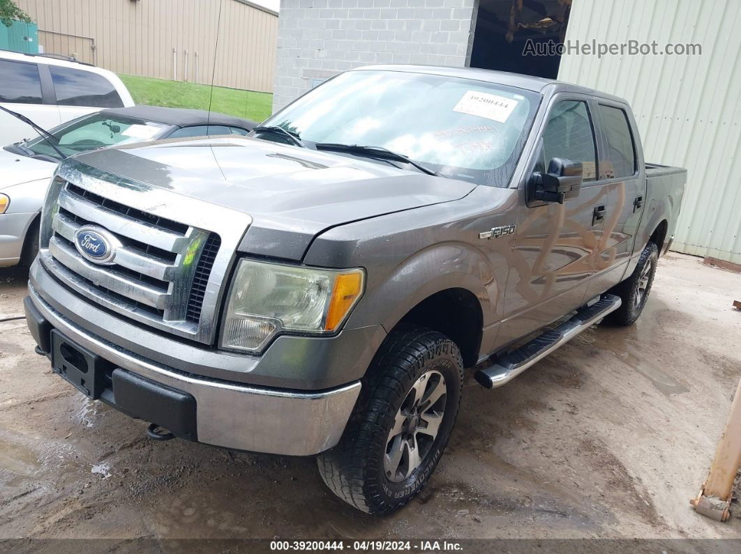 2010 Ford F-150 Fx4/harley-davidson/king Ranch/lariat/platinum/xl/xlt Gray vin: 1FTFW1EV6AKE81090