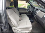 2010 Ford F-150 Fx4/harley-davidson/king Ranch/lariat/platinum/xl/xlt Gray vin: 1FTFW1EV6AKE81090