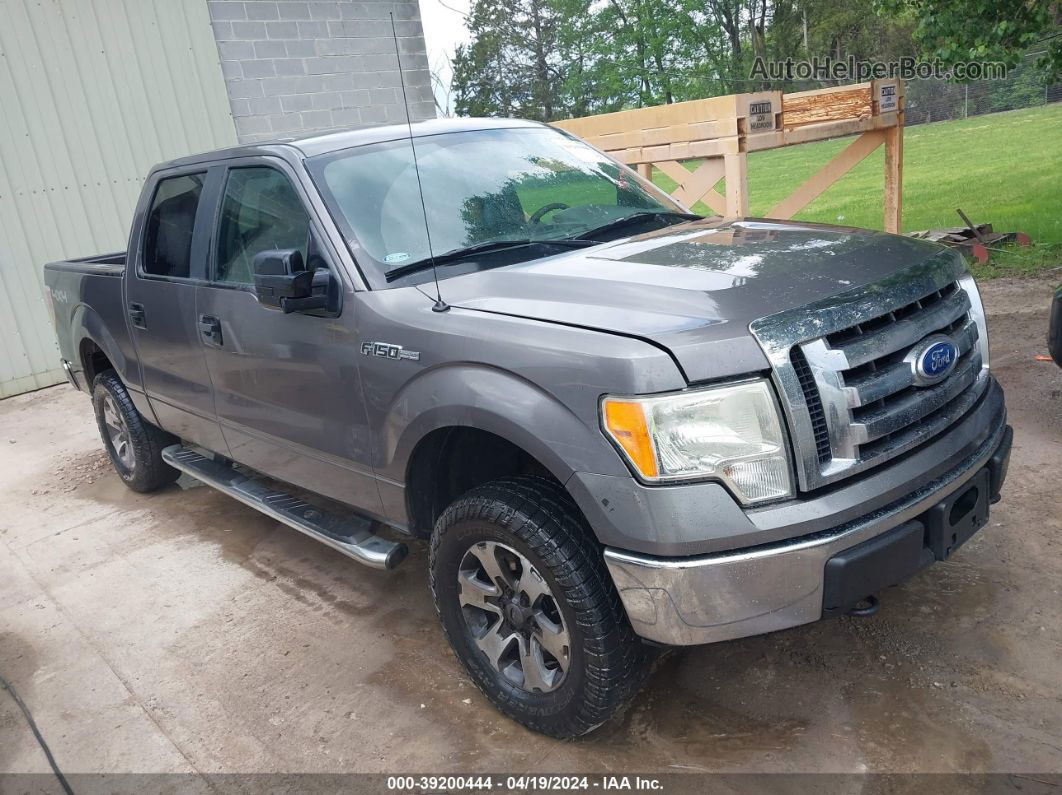 2010 Ford F-150   Gray vin: 1FTFW1EV6AKE81090