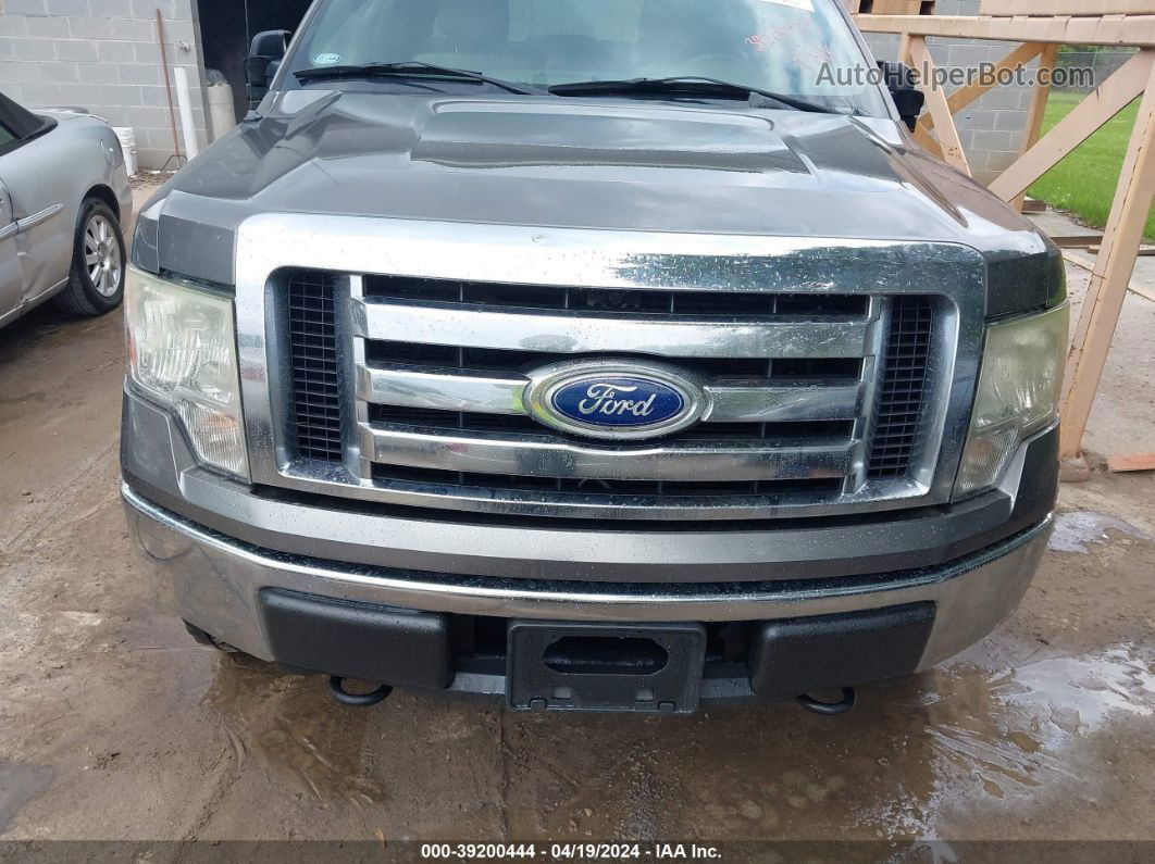 2010 Ford F-150 Fx4/harley-davidson/king Ranch/lariat/platinum/xl/xlt Gray vin: 1FTFW1EV6AKE81090