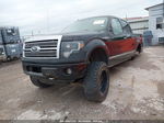 2010 Ford F-150 Fx4/harley-davidson/king Ranch/lariat/platinum/xl/xlt Black vin: 1FTFW1EV7AFA22580