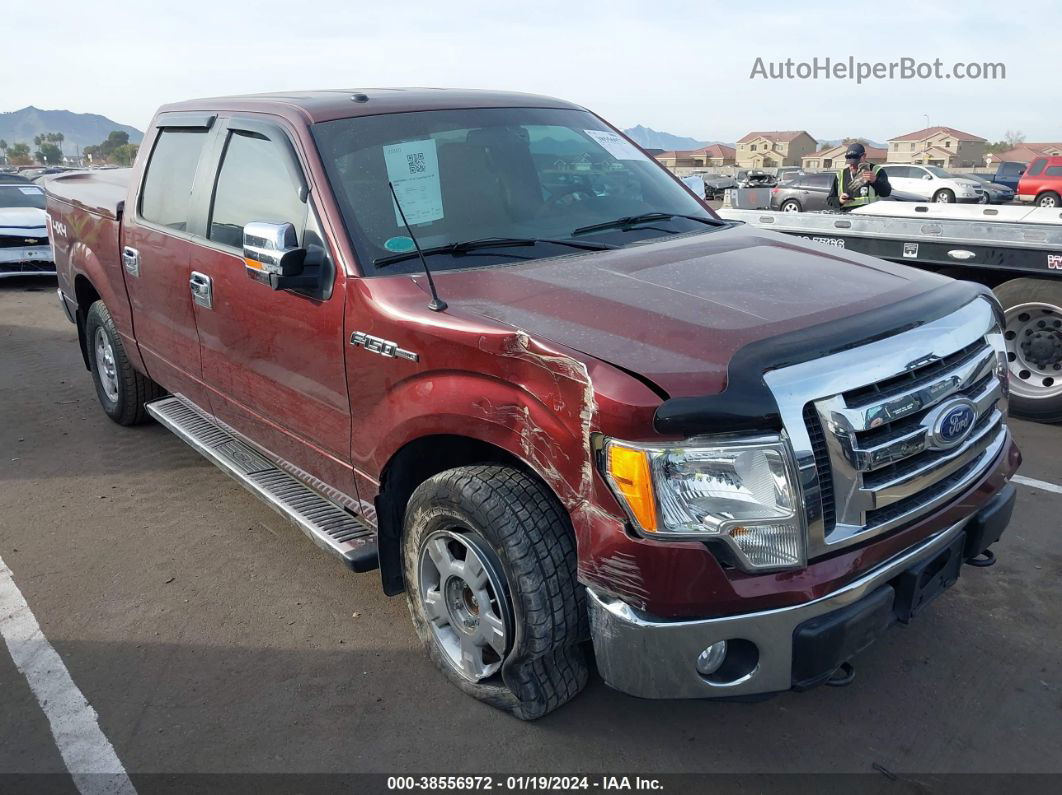 2010 Ford F-150 Fx4/lariat/xl/xlt Maroon vin: 1FTFW1EV7AFA44420