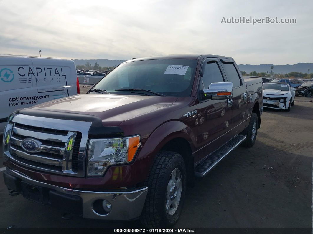 2010 Ford F-150 Fx4/lariat/xl/xlt Maroon vin: 1FTFW1EV7AFA44420