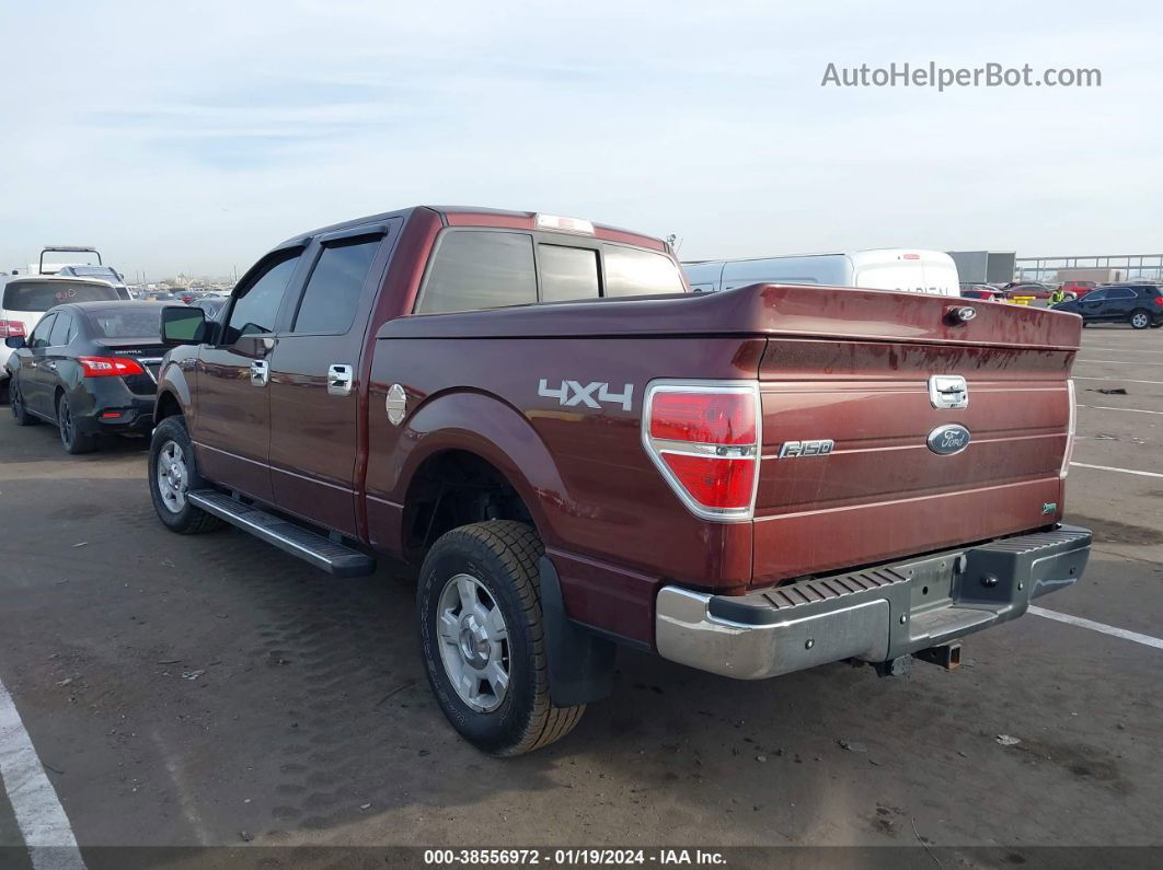 2010 Ford F-150 Fx4/lariat/xl/xlt Maroon vin: 1FTFW1EV7AFA44420