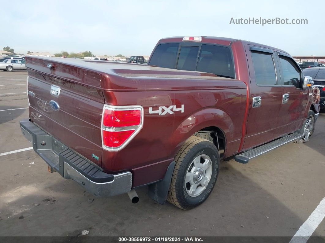 2010 Ford F-150 Fx4/lariat/xl/xlt Maroon vin: 1FTFW1EV7AFA44420