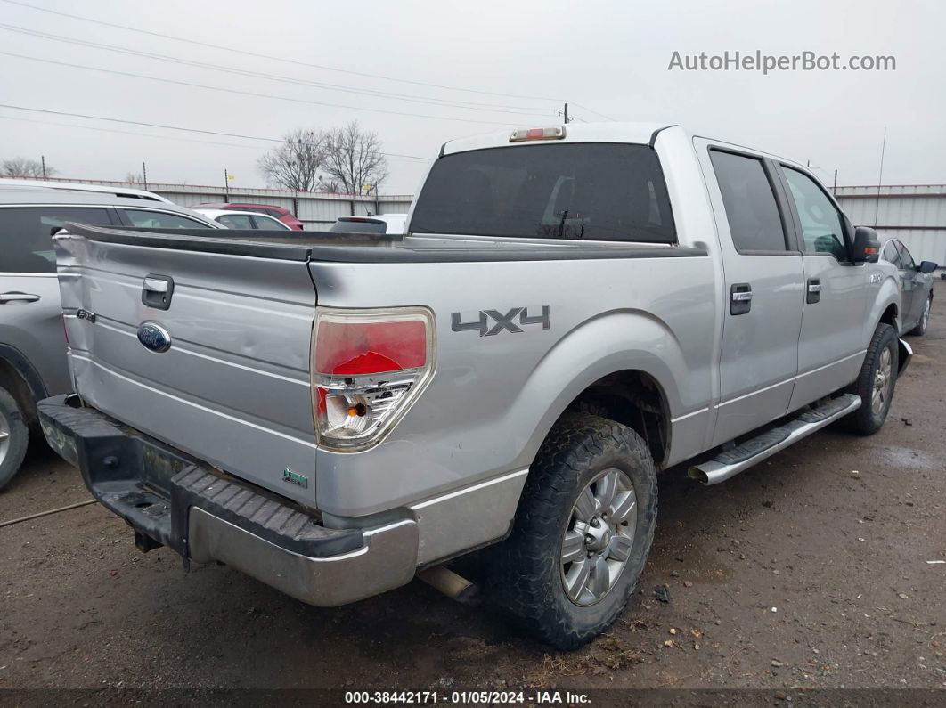 2010 Ford F-150 Fx4/lariat/xl/xlt Серебряный vin: 1FTFW1EV7AFC45248