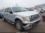 2010 Ford F-150 Fx4/lariat/xl/xlt Серебряный vin: 1FTFW1EV7AFC45248