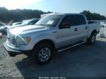 2010 Ford F-150 Xl/xlt/fx4/lariat Серебряный vin: 1FTFW1EV7AFD22295