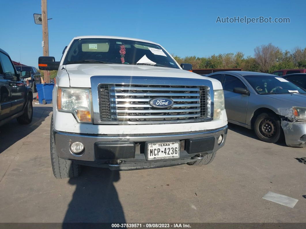 2010 Ford F-150 Xl/xlt/fx4/lariat White vin: 1FTFW1EV7AFD87583