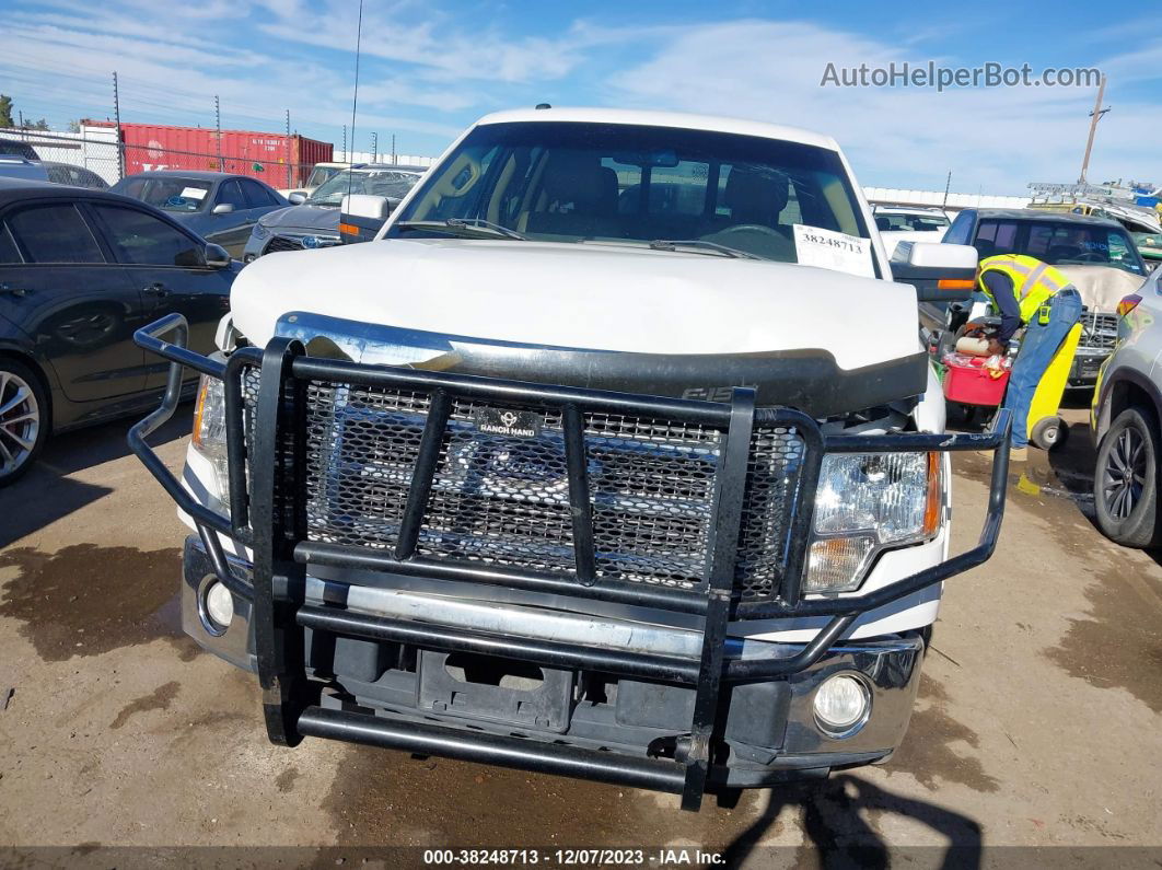 2010 Ford F-150 Lariat/fx4/xl/xlt White vin: 1FTFW1EV7AFD87907