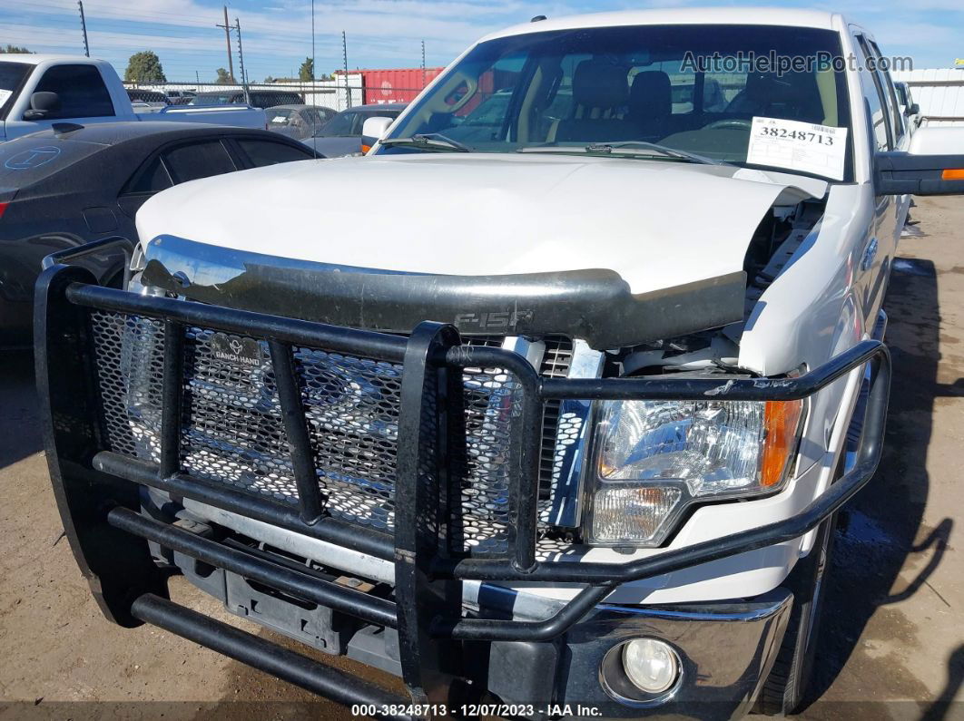 2010 Ford F-150 Lariat/fx4/xl/xlt White vin: 1FTFW1EV7AFD87907