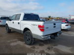 2010 Ford F-150 Fx4/harley-davidson/king Ranch/lariat/platinum/xl/xlt White vin: 1FTFW1EV7AFD93626