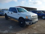 2010 Ford F-150 Fx4/harley-davidson/king Ranch/lariat/platinum/xl/xlt Белый vin: 1FTFW1EV7AFD93626