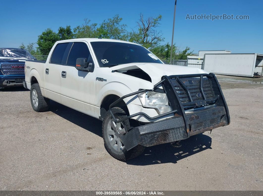 2010 Ford F-150 Fx4/harley-davidson/king Ranch/lariat/platinum/xl/xlt White vin: 1FTFW1EV8AFB55929