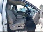 2010 Ford F-150 Fx4/harley-davidson/king Ranch/lariat/platinum/xl/xlt Белый vin: 1FTFW1EV8AFD46525