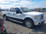 2010 Ford F-150 Fx4/harley-davidson/king Ranch/lariat/platinum/xl/xlt White vin: 1FTFW1EV8AFD46525