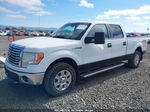 2010 Ford F-150 Fx4/harley-davidson/king Ranch/lariat/platinum/xl/xlt Белый vin: 1FTFW1EV8AFD46525