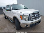 2010 Ford F-150 Fx4/harley-davidson/king Ranch/lariat/platinum/xl/xlt White vin: 1FTFW1EV8AKA38553