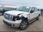 2010 Ford F-150 Fx4/harley-davidson/king Ranch/lariat/platinum/xl/xlt White vin: 1FTFW1EV8AKA38553