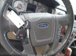 2010 Ford F-150 Fx4/harley-davidson/king Ranch/lariat/platinum/xl/xlt White vin: 1FTFW1EV8AKA38553