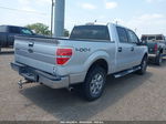 2010 Ford F-150 Fx4/harley-davidson/king Ranch/lariat/platinum/xl/xlt Silver vin: 1FTFW1EV8AKB35123