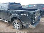 2010 Ford F-150 Fx4/harley-davidson/king Ranch/lariat/platinum/xl/xlt Black vin: 1FTFW1EV9AFC17922