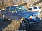 2010 Ford F-150 Fx4/lariat/xl/xlt Синий vin: 1FTFW1EV9AFC69079